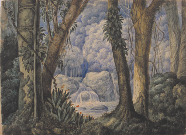 Pintura representando uma floresta tropical densa, com árvores altas, um rio e uma cascata em meio às rochas ao fundo.