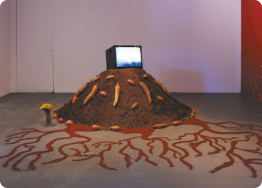 Fotografia de uma instalação artística em um espaço expositivo, com um monte de terra no chão com um televisor no topo e raízes e tubérculos dispostos sobre a terra. Ao lado do monte de terra há um buquê de flores em um copo e desenhos de caminhos de terra espalhados pelo chão, semelhantes a rios, que partem da base do monte de terra.