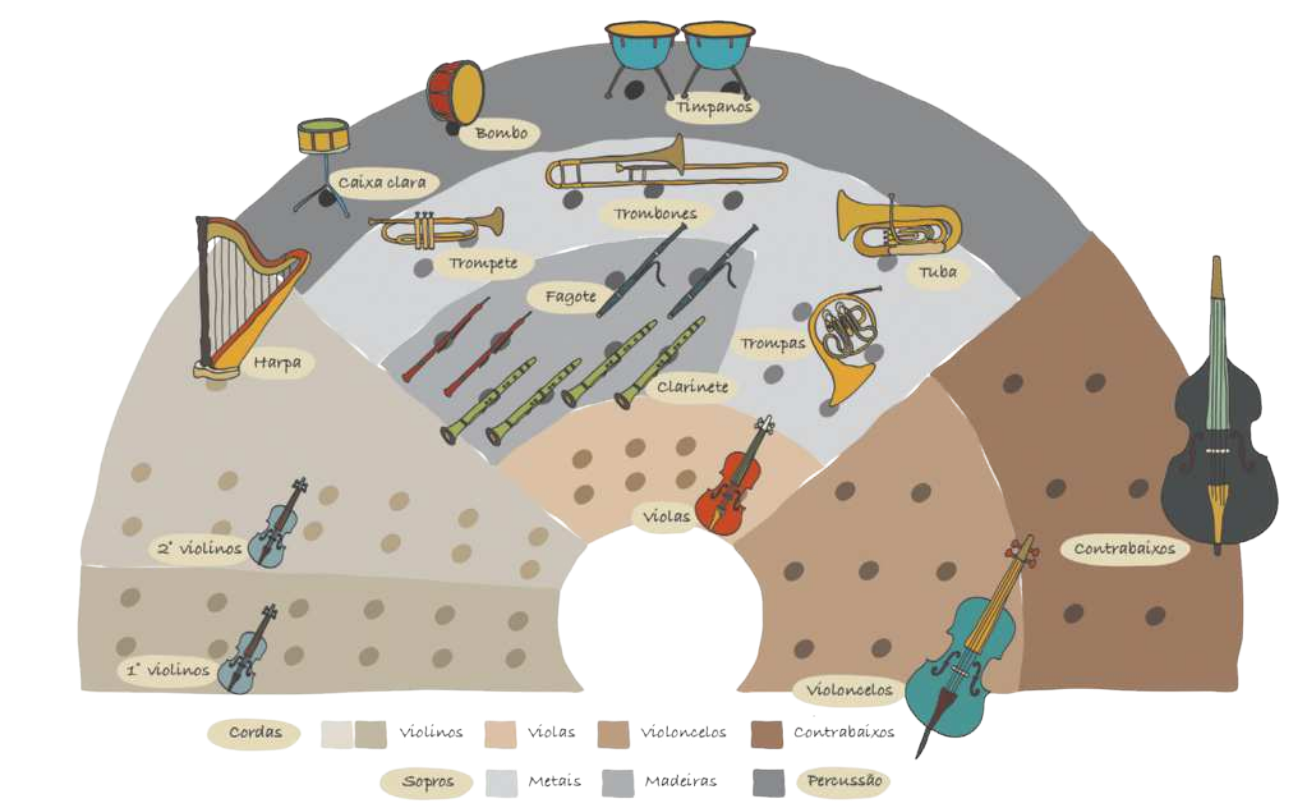 Esquema ilustrando uma orquestra e a disposição tradicional dos instrumentos. A orquestra no esquema está organizada em um semicírculo dividido em 3 setores principais.  No setor mais à esquerda, estão os primeiros violinos e os segundos violinos, além da harpa; O setor central é o maior de todos e está dividido em faixas de acordo com a distância em relação ao centro da orquestra, onde está o regente. A divisão é a seguinte: mais próximas do regente estão as violas, e logo atrás delas estão naipes de madeiras como clarinetes, fagotes e oboés, e o primeiro naipe de metais com as trompas; mais atrás, estão naipes de metais como trompetes, trombones e tubas; e ao fundo, na região mais distante do regente, estão os instrumentos de percussão como tímpanos, bumbo e a caixa clara. No setor à direita do regente estão os naipes de cordas mais graves, como os violoncelos mais à frente, e os contrabaixos ao fundo.