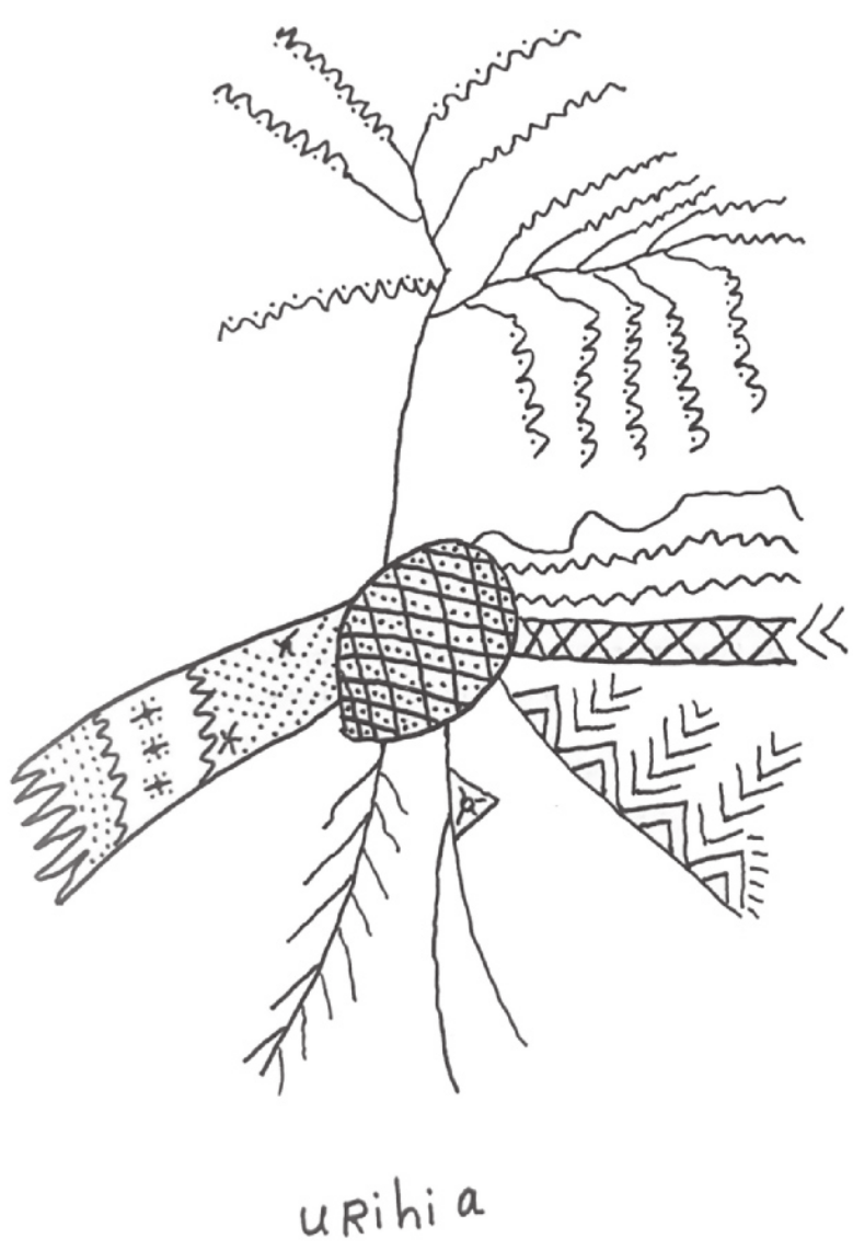 Desenho de uma figura mítica com pernas em forma de raízes, com o tronco oval, semelhante a uma fruta com uma casca de escamas, braços com formas abstratas e grafismos geométricos diversos, e uma árvore na cabeça com ramificações finas e pequenas folhas nas pontas. Há uma legenda manuscrita sob a figura em que se lê 'urihi a'.