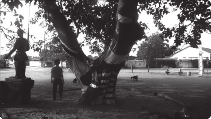 Fotografia em preto e branco de uma árvore em uma praça, com uma escultura em um pedestal ao lado. O tronco da árvore está envolvido com um tecido estampado com faixas e listras, e um homem está caminhando de costas em volta da árvore.