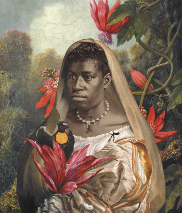 Colagem digital da fotografia de uma mulher negra escravizada de cabelos curtos, usando um colar e um véu sobre a cabeça, sobre uma pintura de paisagem com plantas tropicais e grandes flores. A colagem também insere um buquê de folhas e uma ave no colo da mulher.