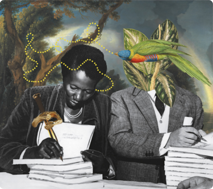 Imagem com colagem digital de uma pintura de paisagem com árvores tropicais ao fundo de uma fotografia em preto e branco de Carolina Maria de Jesus. Ela é uma mulher negra de cabelos presos, usando um casaco, autografando livros. Ao lado dela está um homem branco de terno e gravata, também escrevendo dedicatórias em uma pilha de livros. A cabeça dele foi suprimida na imagem, e no lugar dela há folhas de uma planta tropical em que está pousado um pássaro colorido. Uma linha pontilhada sai do bico do pássaro e vai em direção ao ouvido de Carolina de Jesus.