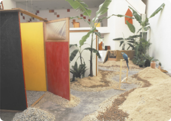 Fotografia de instalação artística em um espaço expositivo, com palmeiras plantadas em montes de areia em meio a estruturas de madeira, com superfícies coloridas e outros objetos, como um poleiro de madeira em que está pousada uma arara.