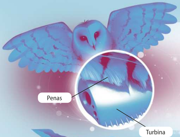 Esquema representando as penas de uma coruja e uma turbina em detalhe.  A borda da turbina é serrilhada como a pena da coruja.