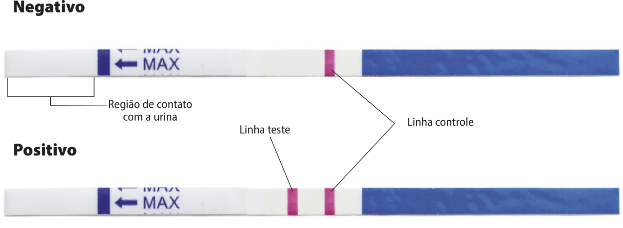 Fotografia de dois testes de gravidez em fita. Na ponta esquerda de ambas as fitas, há um traço azul que indica a região de contato máxima com a urina. A fita que indica resultado negativo tem um traço rosa no meio, sendo a linha controle, enquanto a fita que indica resultado positivo tem dois traços rosa no meio, um é a linha teste, o outro é a linha controle.