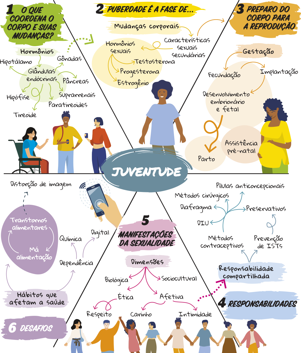 Esquema resumindo os principais conceitos da Unidade. Título: Juventude. 1. O que coordena o corpo e suas mudanças? Hormônios são secretados pelas glândulas endócrinas. São elas: gônadas, pâncreas, suprarrenais, paratireoides, tireoide, hipófise e hipotálamo. 2. Puberdade é a fase de mudanças corporais que geram características sexuais secundárias, influenciadas por hormônios. As gônadas secretam testosterona, progesterona e estrogênio, que são hormônios sexuais. 3. Preparo do corpo para a reprodução. A gestação se inicia a partir da fecundação, seguida da implantação e do desenvolvimento embrionário e fetal até o parto. Necessita de assistência pré-natal. 4. Responsabilidades. Responsabilidade compartilhada através de métodos contraceptivos como DIU, diafragma, métodos cirúrgicos, pílulas anticoncepcionais e preservativos. Os preservativos auxiliam na prevenção de I S Ts. 5. As manifestações da sexualidade ocorrem nas dimensões biológica, sociocultural, ética e afetiva. Exigem respeito, carinho e intimidade. 6. Desafios. Hábitos que afetam a saúde, como dependência química e digital. Má alimentação pode gerar transtornos alimentares, que podem ocasionar distorção de imagem.