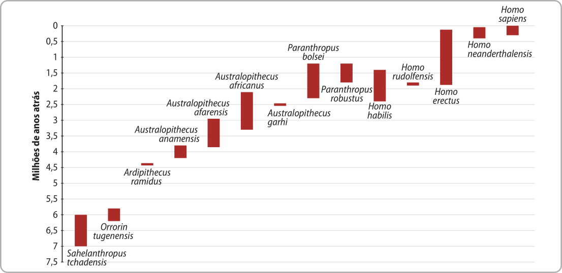 Gráfico de colunas que mostra a linha do tempo de espécies de hominínios. No eixo vertical estão representados os anos. Os dados são os seguintes: Sahelanthropus tchadensis: viveu entre 7,5 e 6 milhões de anos atrás. Orrorin tugenensis: viveu entre 6,25 e 5,75 milhões de anos atrás. Ardipithecus ramidus: viveu entre 4,5 e 4,4 milhões de anos atrás. Australopithecus anamensis: viveu entre 4,25 e 3,75 milhões de anos atrás. Australopithecus afarensis: viveu entre 4,3 e 3 milhões de anos atrás. Australopithecus africanus: viveu entre 3,75 e 2,1 milhões de anos atrás. Australopithecus garhi: viveu há 2,5 milhões de anos. Paranthropus bolsei: viveu entre 2,25 e 1,2 milhões de anos atrás. Paranthropus robustus: viveu entre 1,75 e 1,25 milhões de anos atrás. Homo habilis: viveu entre 2,4 e 1,4 milhões de anos atrás. Homo rudolfensis: viveu há 1,8 milhões de anos. Homo erectus: viveu entre 1,8 e 0,2 milhões de anos atrás. Homo neanderthalensis: viveu entre 0,4 e 0,05 milhões de anos atrás. Homo sapiens: surgiu em 0,3 milhões de anos atrás e vive até os tempos de hoje.