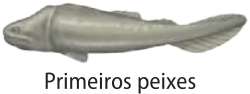 Ilustração representando um dos primeiros peixes. É um peixe de corpo alongado, cabeça grande e alongada, boca grande, olhos pequenos localizados nas laterais da cabeça e nadadeiras pouco desenvolvidas.