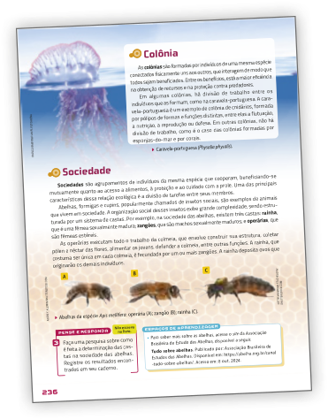 Reprodução de página do livro contendo a seção Pense e responda e espaços de aprendizagem.