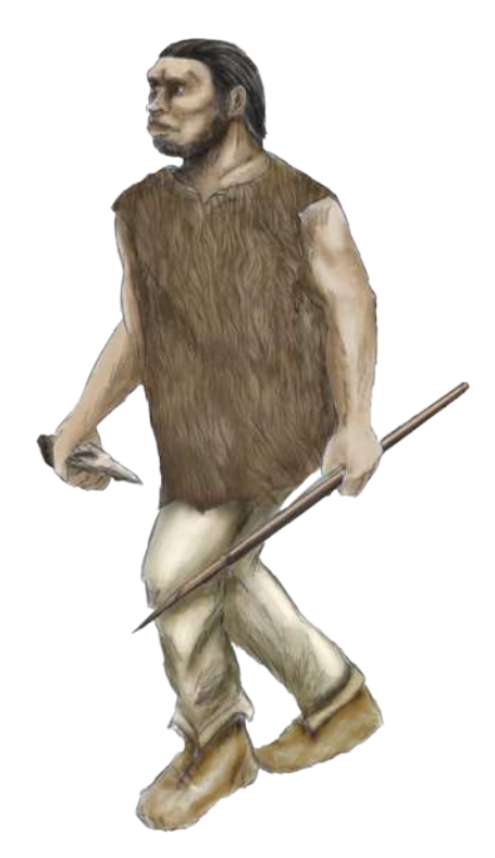 Ilustração de um Homo neanderthalensis. Ser muito semelhante a um humano, mas com traços mais robustos, possui pelos apenas em algumas partes do corpo, como um humano. Usa vestes e calçados rudimentares. Segura uma lança de pedra em uma mão e uma lança de madeira na outra.