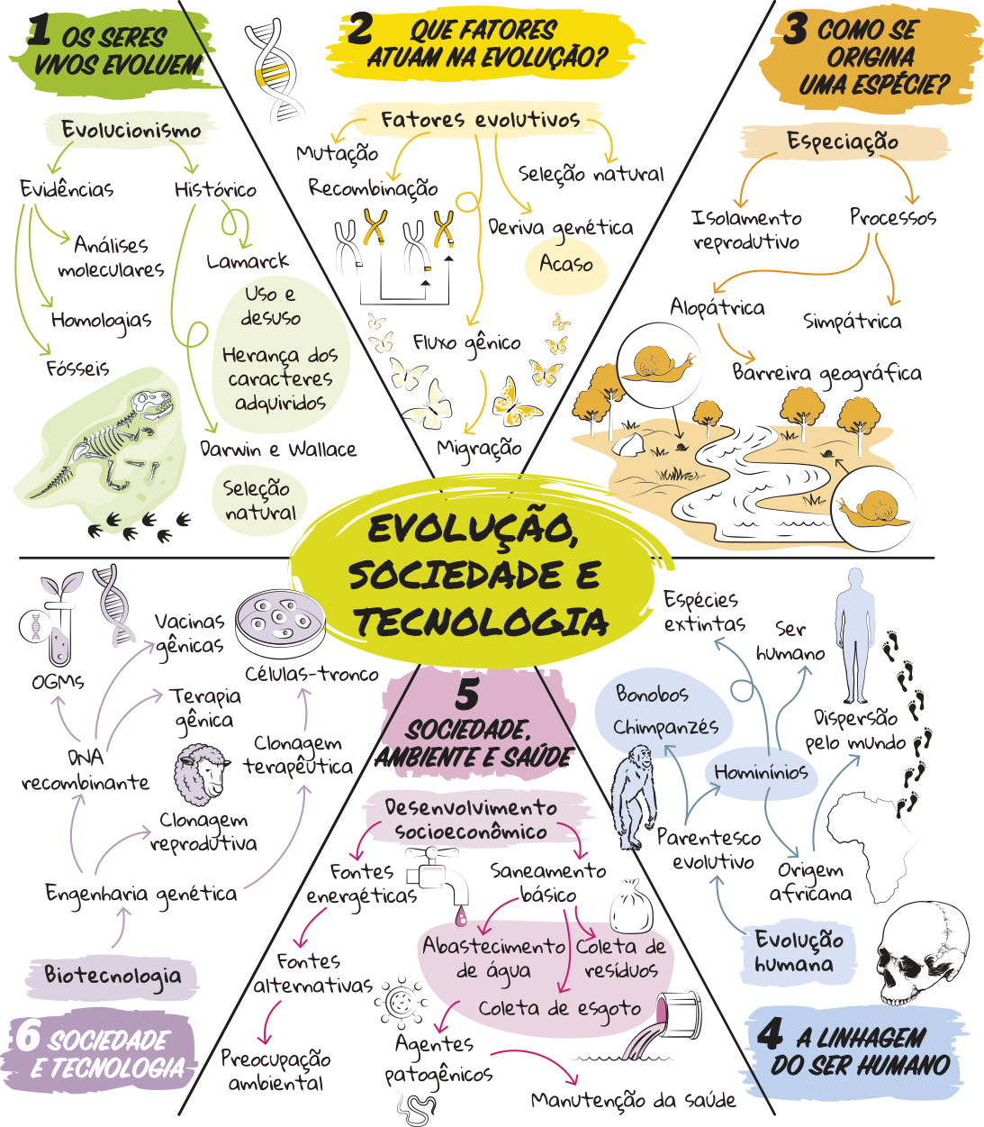 Esquema resumindo os principais conceitos da unidade. Título: Evolução, sociedade e tecnologia. 1. Os seres evoluem. O Evolucionismo apresenta evidências em análises moleculares, homologias e fósseis. Foi estudado ao longo da história por Lamark que propunha a teoria de uso e desuso e herança dos caracteres adquiridos; e por Darwin e Wallace que propunham a teoria da seleção natural. 2. Que fatores atuam na evolução? Os fatores evolutivos são: mutação, recombinação, seleção natural, deriva genética ocorrida ao acaso, fluxo gênico a partir da migração. 3. Como se origina uma espécie? A especiação pode ocorrer por isolamento reprodutivo ou por processos alopátricos e simpátricos. A especiação alopátrica depende de barreira geográfica para ocorrer. 4. A linhagem do ser humano. No estudo da evolução humana, foi observado um parentesco evolutivo entre chimpanzés, bonobos e hominínios. Os hominínios são compostos por seres humanos e espécies extintas, possuem origem africana e dispersaram-se pelo mundo. 5. Sociedade, ambiente e saúde. O desenvolvimento socioeconômico depende de saneamento básico composto por abastecimento de água, coleta de resíduos e coleta de esgoto. Também é necessário ter fontes energéticas alternativas que possuam preocupação ambiental. 6. Sociedade e tecnologia. A biotecnologia estuda a engenharia genética, responsável pela clonagem terapêutica da criação de células-tronco; pela clonagem reprodutiva e pela criação de D N A recombinante utilizado nos estudos de terapia gênica, vacinas gênicas e organismos geneticamente modificados.