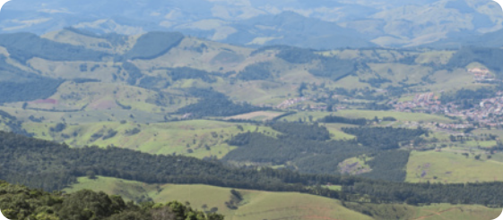 Fotografia aérea de vários morros com vegetação rasteira e um corredor de vegetação mais densa atravessando a paisagem.