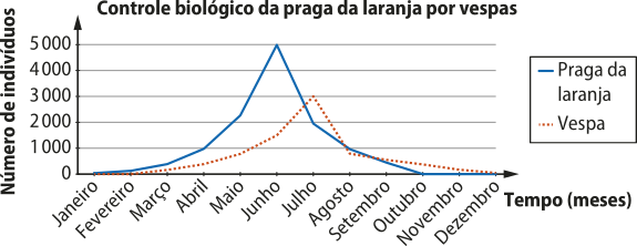 Gráfico de linhas 'Controle biológico da praga da laranja por vespas'. O eixo vertical representa o número de indivíduos e o eixo horizontal representa o tempo em meses. Uma linha representa a praga da laranja e a outra, as vespas. As informações são as seguintes: Linha praga: inicia em janeiro, subindo gradualmente de zero para 5.000 indivíduos, atingindo o pico no início do mês de junho. Depois, começa a diminuir, chegando a zero em outubro. Linha vespa: inicia em janeiro, subindo gradualmente de zero para 3.000 indivíduos, atingindo o pico no início do mês de julho. Depois, começa a diminuir, chegando a zero em dezembro.