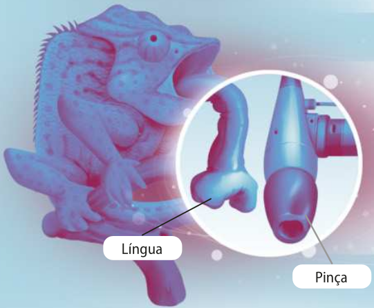 Esquema representando um camaleão com a língua para fora, com a língua e a pinça inspirada nela em detalhe. A língua é longa, com a ponta em forma de pinça. A pinça ao lado é comprida e tem a ponta arredondada com uma abertura.