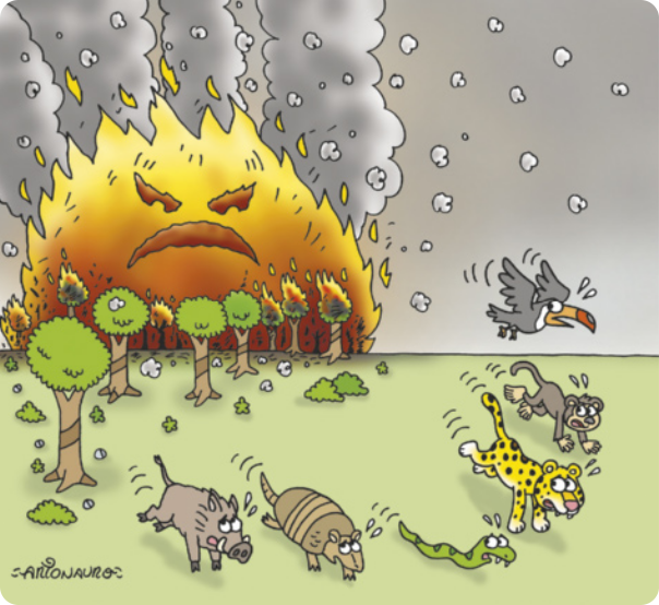 Charge com um javali, um tatu, uma cobra, uma onça, um macaco, um tucano com expressões assustadas fugindo de um fogo gigante. O fogo possui um rosto com feição raivosa e dele sai muita fumaça. O fogo está queimando algumas árvores.