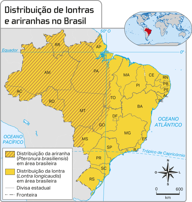 Mapa 'Distribuição de lontras e ariranhas no Brasil'. A distribuição da ariranha ocorre nos estados do Acre, Amazonas, Roraima, Mato Grosso, Rondônia, Amapá, Pará, Tocantins, Goiás e Mato Grosso do Sul. A distribuição da lontra ocorre em todo o território brasileiro.