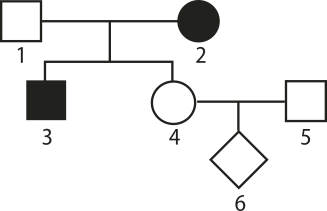 Imagem do heredograma com duas gerações. Geração parental: 1, quadrado vazio. 2, círculo preenchido. Geração 2: 3, quadrado preenchido. 4, círculo vazio. Ocorre um cruzamento entre 4 e 5, representado por um quadrado vazio. Geração 3: 6, losango vazio.