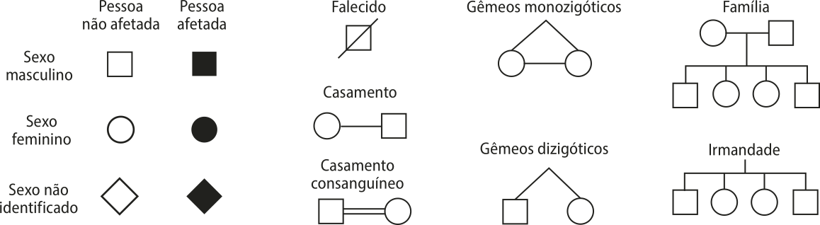 Esquema representando elementos em um heredograma. Quadrados indicam o sexo masculino. Círculos representam o sexo feminino. Losangos indicam sexo não identificado. Quando o elemento está vazio, indica que a pessoa não é afetada. Quando está preenchido, indica que a pessoa é afetada. Quando o elemento é cortado por um traço na diagonal, indica que a pessoa é falecida. Elementos conectados por uma linha reta representam casamento. Elementos conectados por duas linhas retas representam casamento consanguíneo. Quando dois elementos saem de um ramo bifurcado e estão conectados por uma linha reta, representam gêmeos monozigóticos. Dois elementos que saem de um ramo bifurcado e não há a linha reta os conectando, representam gêmeos dizigóticos. Uma família é representada por um casamento que dá origem a outros indivíduos. Os indivíduos frutos desse casamento representam uma irmandade.