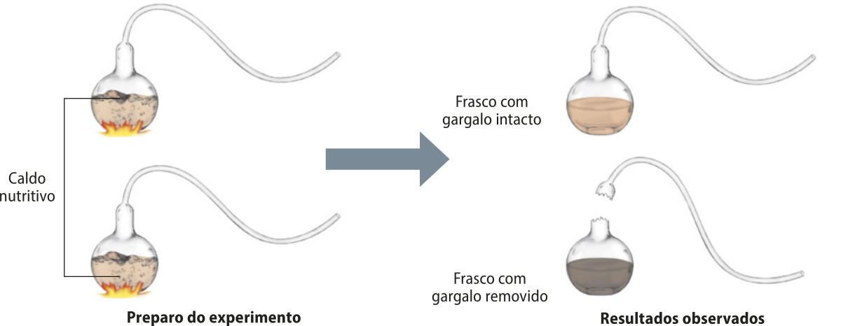 Esquema representando duas fases do experimento. Na primeira fase, existem dois frascos de vidro idênticos com a base esférica e o gargalo fino com uma curva em formato de S na horizontal. Os dois possuem caldo nutritivo fervendo no interior esférico. Na segunda fase do experimento, o primeiro frasco está com o gargalo intacto e o caldo nutritivo com a mesma cor do início do experimento. O segundo frasco teve o gargalo removido e está com o caldo mais escuro do que o início do experimento.