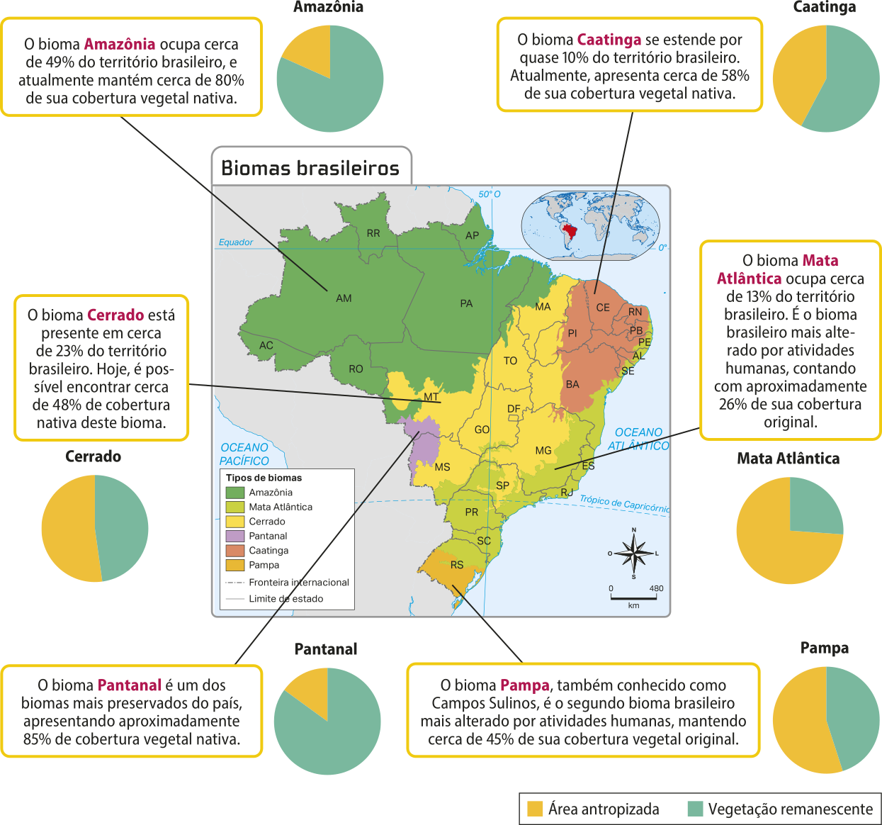 Esquema contendo o mapa 'Biomas brasileiros'. Cada bioma está representado por uma cor que cobre o território que o compreende. Amazônia: o bioma Amazônia ocupa cerca de 49 por cento do território brasileiro, e atualmente mantém cerca de 80 por cento de sua cobertura vegetal nativa. Está presente nos estados do Amazonas, Roraima, Rondônia, Acre, Pará, Amapá, Mato Grosso, Maranhão e Tocantins. Caatinga: o bioma Caatinga se estende por quase 10 por cento do território brasileiro. Atualmente, apresenta cerca de 58 por cento de sua cobertura vegetal nativa. Está presente nos estados do Ceará, Rio Grande do Norte, Paraíba, Pernambuco, Alagoas, Sergipe, Bahia e Piauí. Cerrado: o bioma Cerrado está presente em cerca de 23 por cento do território brasileiro. Hoje, é possível encontrar cerca de 48 por cento de cobertura nativa deste bioma.  Está presente nos estados do Mato Grosso, Mato Grosso do Sul, Tocantins, Maranhão, Piauí, Goiás, Distrito Federal, Minas Gerais, Bahia e São Paulo. Mata Atlântica: o bioma Mata Atlântica ocupa cerca de 13 por cento do território brasileiro. É o bioma brasileiro mais alterado por atividades humanas, contando com aproximadamente 26 por cento de sua cobertura original. Está presente nos estados do Rio Grande do Norte, Paraíba, Pernambuco, Alagoas, Sergipe, Bahia, Minas Gerais, São Paulo, Mato Grosso do Sul, Rio de Janeiro, Espírito Santo, Paraná, Santa Catarina, Rio Grande do Sul e Mato Grosso do Sul. Pantanal: o bioma Pantanal é um dos biomas mais preservados do país, apresentando aproximadamente 85 por cento de cobertura vegetal nativa. Está presente nos estados do Mato Grosso e Mato Grosso do Sul. Pampa: o bioma Pampa, também conhecido como Campos Sulinos, é o segundo bioma brasileiro mais alterado por atividades humanas, mantendo cerca de 45 por cento de sua cobertura vegetal original. Está presente no estado do Rio Grande do Sul.
