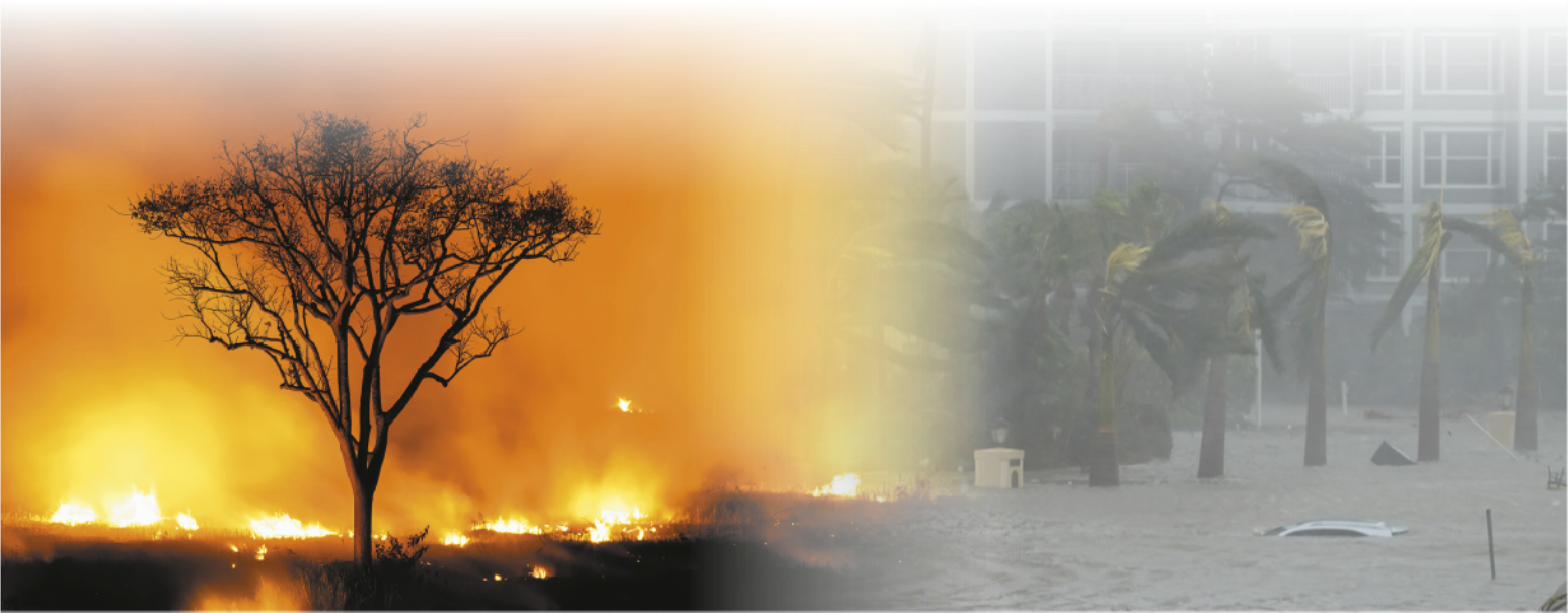 Composição com duas fotografias. A primeira é de Fotografia de uma árvore, em segundo plano, há muita fumaça e fogo no solo. A segunda é de uma rua alagada, com diversas palmeiras e um prédio em segundo plano.