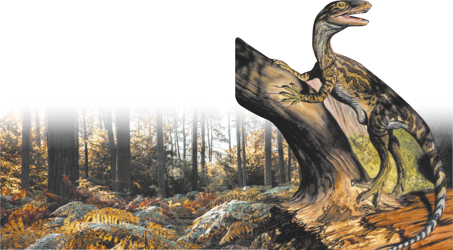 Ilustração do dinossauro apoiado com as patas dianteiras em um tronco de árvore. As patas traseiras estão sobre o chão. O dinossauro possui a mandíbula, o pescoço e a cauda alongados. Ao fundo, está uma floresta com diversas árvores e rochas cobertas de musgo no chão.