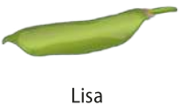 Ilustração de uma vagem de ervilha verde e lisa.