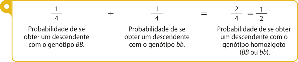 Esquema representando a probabilidade de se obter um descendente com o genótipo homozigoto por meio de uma operação matemática. Um quarto, probabilidade de se obter um descendente com o genótipo B maiúsculo B maiúsculo, mais um quarto, probabilidade de se obter um descendente com o genótipo b minúsculo, b minúsculo, é igual a dois quartos que é igual a um sobre dois, probabilidade de se obter um descendente com o genótipo homozigoto B maiúsculo B maiúsculo ou b minúsculo, b minúsculo.