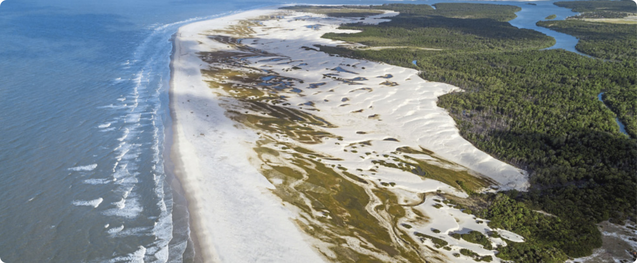 Fotografia aérea de uma praia. À esquerda está o mar, no centro a faixa de areia e à direita uma vegetação rasteira. Em meio à vegetação passa um curso d'água.