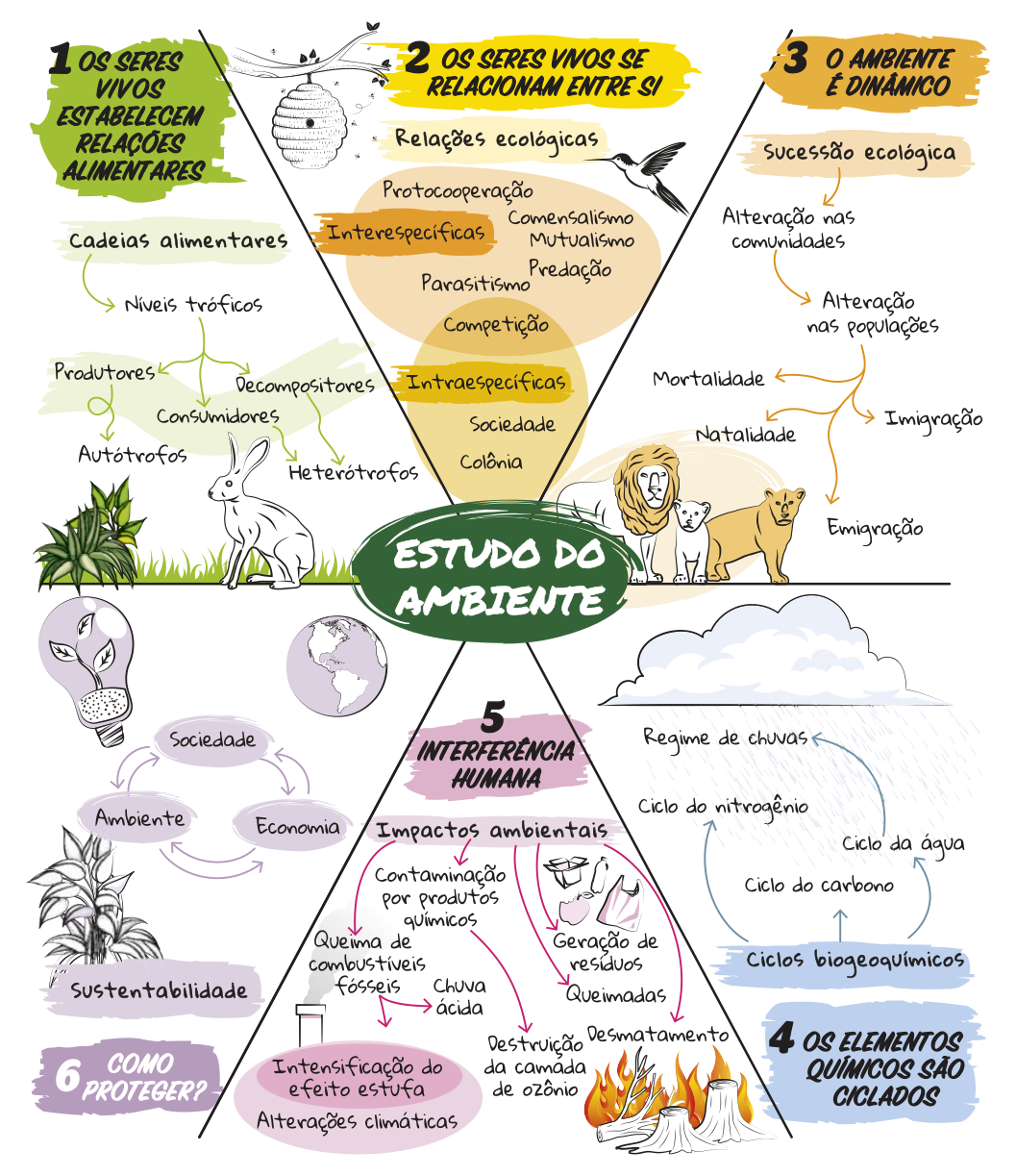 Esquema resumindo os principais conceitos desta Unidade. Título: Estudo do Ambiente.  1. Os seres vivos estabelecem relações alimentares. As cadeias alimentares possuem níveis tróficos: produtores, consumidores e decompositores. Os produtores são considerados autótrofos. Os outros são heterótrofos. 2. Os seres vivos se relacionam entre si. As relações ecológicas podem ser interespecíficas ou intraespecíficas. As relações interespecíficas são: protocooperação, comensalismo, mutualismo, predação, parasitismo e competição. As relações intraespecíficas são: competição, sociedade e colônia. 3. O ambiente é dinâmico. Na sucessão ecológica ocorre a alteração de comunidades que gera alteração nas populações. As alterações podem ser causadas por mortalidade, natalidade, imigração e emigração. 4. Os elementos químicos são ciclados. São ciclos bioquímicos: o ciclo do carbono, o ciclo do nitrogênio e o ciclo da água que gere o regime de chuvas. 5. Interferência humana. Os impactos ambientais decorrem de contaminação por produtos químicos, geração de resíduos, queimadas, desmatamento, queima de combustíveis fósseis que causam chuva ácida e a intensificação do efeito estufa, contribuindo para as alterações climáticas. 6. Como proteger? Com sustentabilidade na economia, sociedade e ambiente.