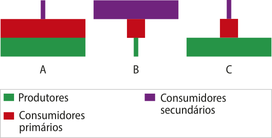 Composição com três pirâmides de barras. Nas três pirâmides, a barra da base representa os produtores, a barra do centro representa os consumidores primários e a barra do topo representa os consumidores secundários. A. A barra da base e a do centro têm tamanhos iguais. A barra do topo é muito menor que as demais. B. A barra da base é a menor. A barra do centro é um pouco maior que a da base. A barra do topo é consideravelmente maior do que as demais. C. A barra da base é a maior, a do centro é consideravelmente menor e a do topo é ainda menor.