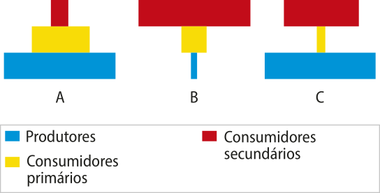 Composição com três pirâmides de barras. Nas três pirâmides, a barra da base representa os produtores, a barra do centro representa os consumidores primários e a barra do topo representa os consumidores secundários. A. A barra da base é maior que a do centro, que é maior que a do topo. B. A barra da base é menor que a do centro, e são consideravelmente menores que a do topo. C. A barra da base é a maior, a do centro é consideravelmente menor e a do topo tem tamanho intermediário.