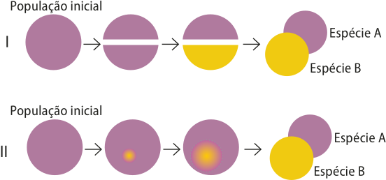 Esquema representando duas populações. 1. População inicial é representada por um círculo roxo que se divide em duas meia-luas. No próximo momento, uma das meias-luas fica amarela. Ao fim são originados dois círculos menores, um roxo, representando a espécie A e outro amarelo, representando a espécie B. 2. População inicial é representada por um círculo roxo. Dentro dele, começa a surgir uma mancha amarela que cresce gradualmente. Ao fim, são originados dois círculos menores, um roxo, representando a espécie A e outro amarelo, representando a espécie B.