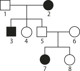 Imagem de heredograma com três gerações: Geração parental: 1, quadrado vazio. 2, círculo preenchido. Segunda geração: 3, quadrado preenchido. 4, círculo vazio. 5, quadrado vazio. 6, círculo vazio. Ocorre um cruzamento entre 5 e 6. Terceira geração: 7, círculo preenchido. 8, círculo vazio.