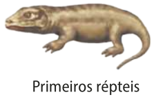 Ilustração representando um dos primeiros répteis. É um animal com corpo e cauda alongados, cabeça e boca grandes e quatro pernas curtas com os dedos das patas pontudos.