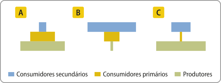 Composição com três pirâmides de barras. Nas três pirâmides, a barra da base representa os produtores, a barra do centro representa os consumidores primários e a barra do topo representa os consumidores secundários. A. A barra da base é maior que a do centro, que é maior que a do topo. B. A barra da base é menor que a do centro, que é menor que a do topo. C. A barra da base é a maior, a do centro é a menor e a do topo tem tamanho intermediário.