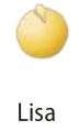 Ilustração de um grão de ervilha amarela lisa.