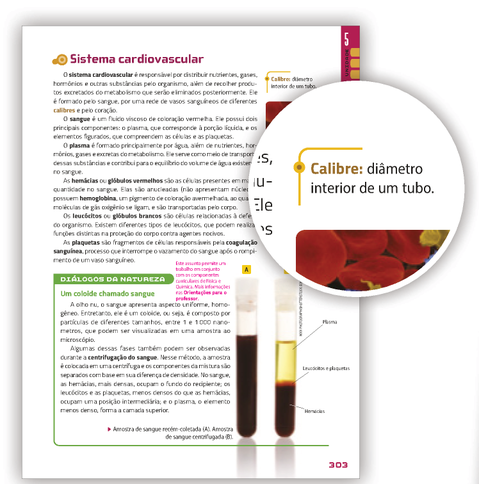 Reprodução de página do livro contendo o glossário.