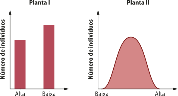 Composição com dois gráficos. O eixo vertical representa o número de indivíduos e o horizontal a altura das plantas. Planta 1. Gráfico de coluna. As plantas altas estão em menor número e as baixas estão em maior número. Planta 2. Gráfico de linha. O número de indivíduos inicia perto de zero, quando a altura é baixa, vai aumentando até atingir o pico em uma altura média, depois diminui gradualmente, quando a altura é alta.