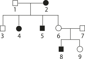 Imagem representando um heredograma de três gerações: Geração Parental: 1, quadrado vazio. 2, círculo preenchido. Geração 2: 3, quadrado vazio. 4, círculo preenchido. 5, quadrado preenchido. 6, círculo vazio. Ocorre um casamento entre 6 e 7, representado por um quadrado vazio. Geração 3: 8, quadrado preenchido. 9, círculo vazio.