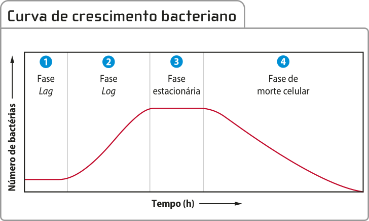 Gráfico de linha 'Curva de crescimento bacteriano'. O eixo vertical representa o número de bactérias e o eixo horizontal representa o tempo, que está dividido em quatro fases diferentes. As informações são as seguintes: 1. Fase Lag: o número de bactérias começa baixo. 2. Fase Log: o número de bactérias cresce gradualmente. 3. Fase estacionária: o número de bactérias mantém-se igual. 4. Fase de morte celular: o número de bactérias diminui gradualmente até chegar a zero.