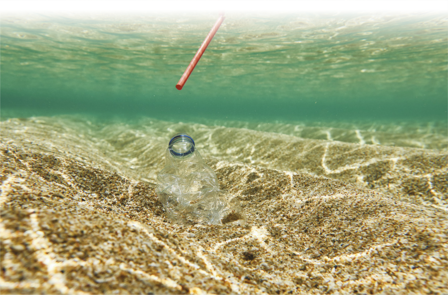 Fotografia de uma garrafa plástica submersa na água, parcialmente enterrada na areia. Logo acima dela, está um canudo plástico boiando próximo à superfície da água.
