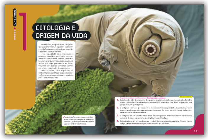 Reprodução de páginas do livro contendo a Abertura de Unidade.