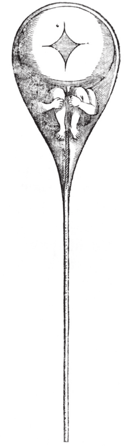 Ilustração de um espermatozoide com uma pessoa pequena no interior da cabeça dele. A pessoa está encolhida, abraçando os joelhos, e sua cabeça é uma esfera grande com uma estrela de quatro pontas no meio.