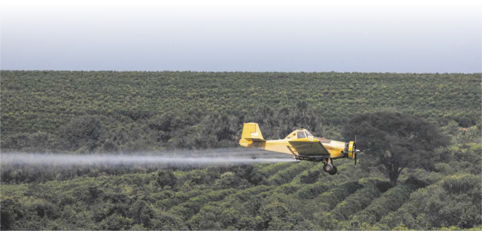 Fotografia aérea de um avião de pequeno porte sobrevoando uma área de plantação. Ele pulveriza um agrotóxico líquido através de canos localizados na parte inferior das asas.