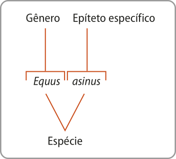 Esquema que explica o nome científicode uma espécie. Como exemplo, está o nome Equus asinus. Chaves indicam que Equus é o gênero e asinus é o epíteto específico. A junção dos dois nomes indica espécie.