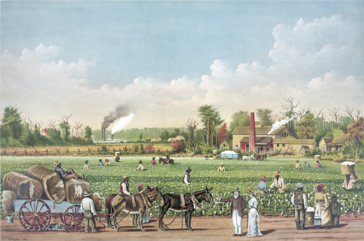 Imagem de litogravura de plantação de algodão com algumas pessoas realizando colheita manualmente, uma carroça transportando cargas e fábricas ao fundo com chaminés.