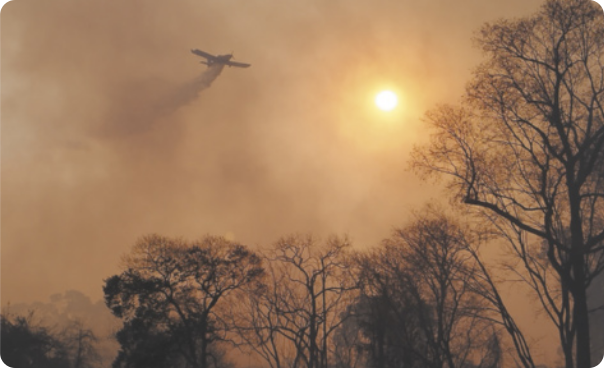 Fotografia de avião sobrevoando e despejando água em floresta incendiada. Há muita fumaça.