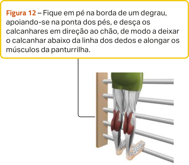 Figura 12. Ilustração de uma pessoa em pé, com as pontas dos pés apoiadas em uma barra horizontal, descendo os calcanhares em direção ao chão, abaixo da linha dos dedos do pé. A ilustração destaca o alongamento dos músculos das panturrilhas. O texto diz: 'Fique em pé na borda de um degrau, apoiando-se na ponta dos pés, e desça os calcanhares em direção ao chão, de modo a deixar o calcanhar abaixo da linha dos dedos e alongar os músculos da panturrilha.'